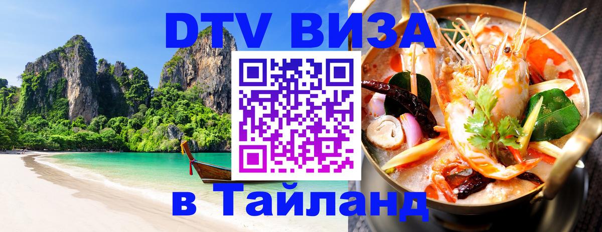 Оформление DTV визы под ключ: стоимость и тарифы, только загранпаспорт - 